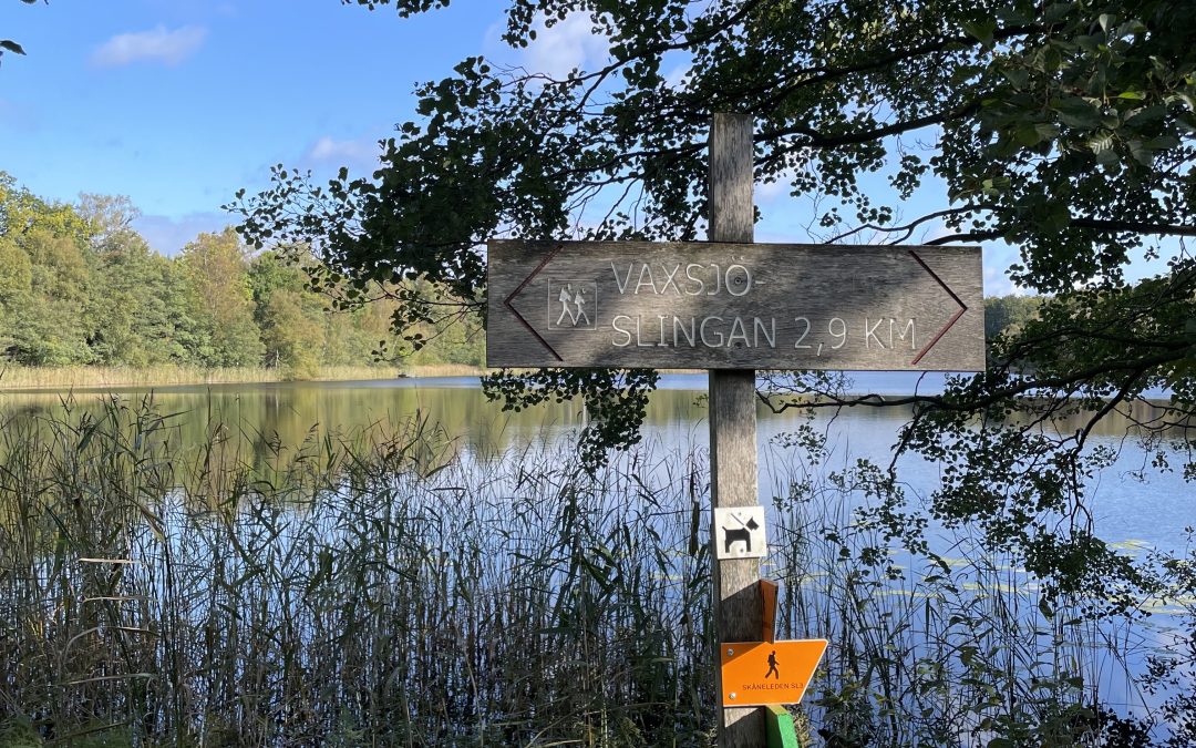 Skifte i marknadsföringsfabriken